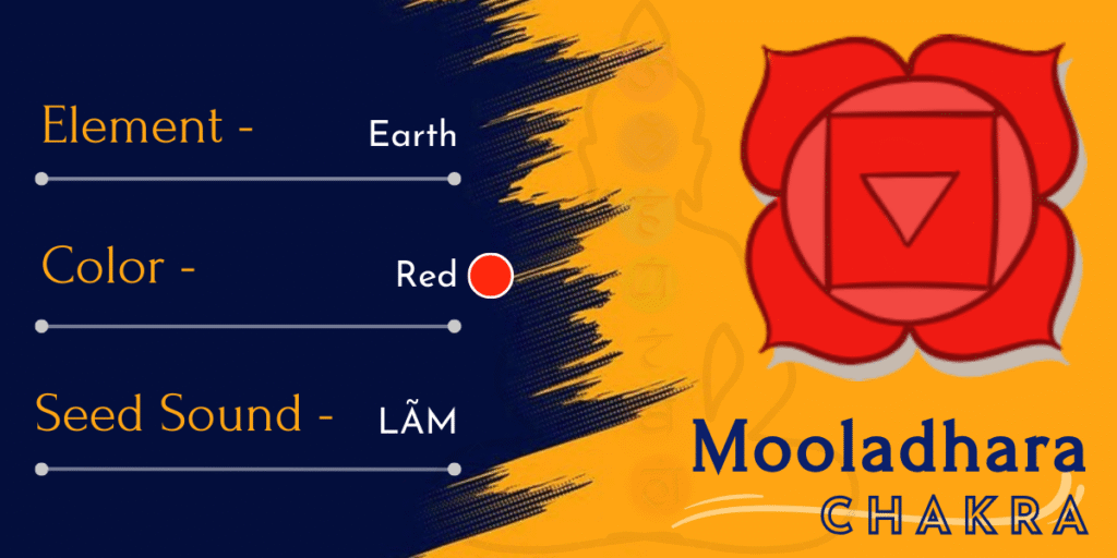 Mooladhara or Root Chakra