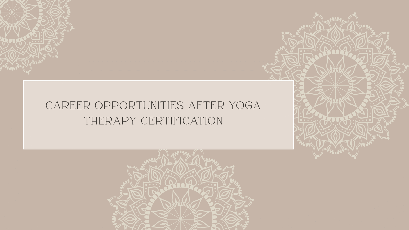 Career Opportunities After Yoga Therapy Certification
