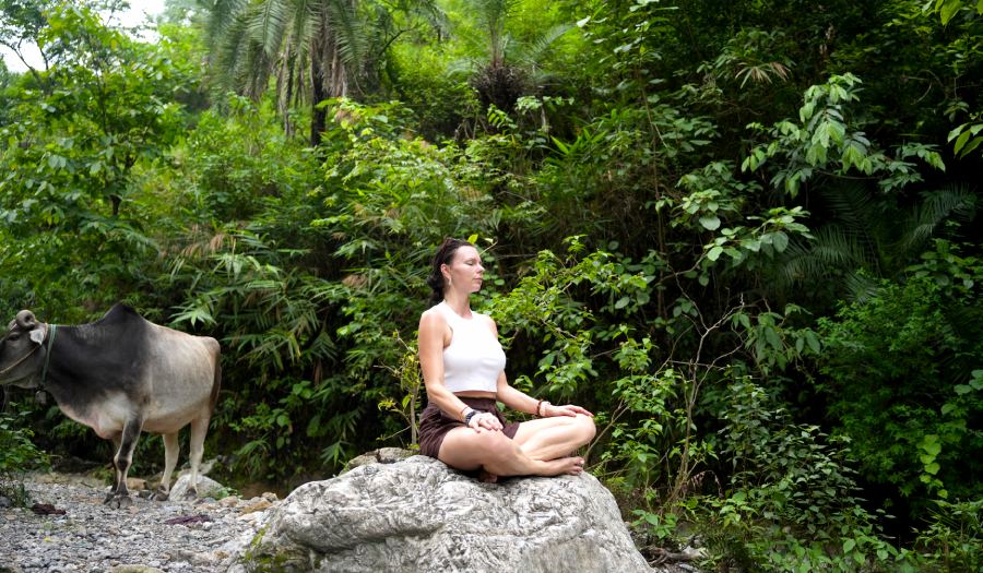 200 Hour Meditation Ttc 006